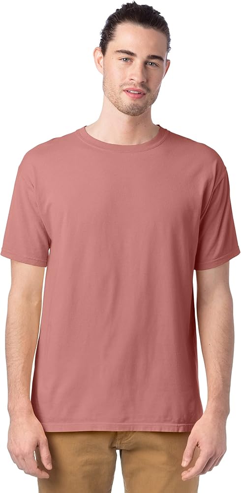 Hanes Comfortwash Garment Dyed Short Sleeve Tee