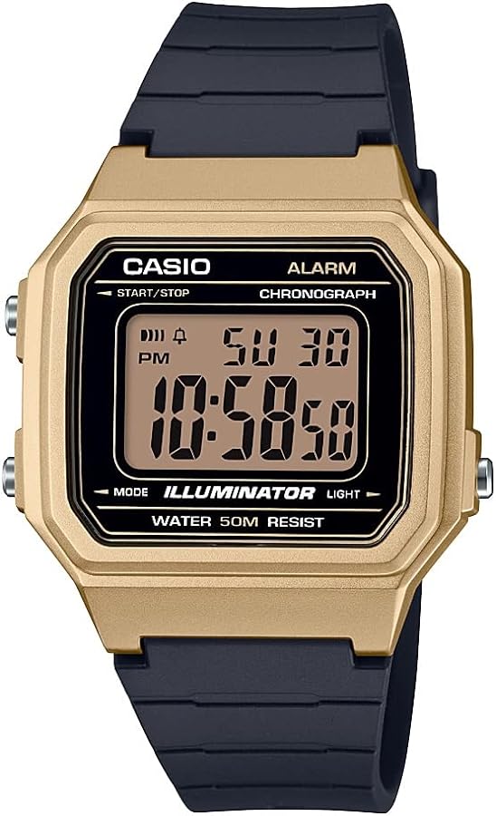 Casio Classic