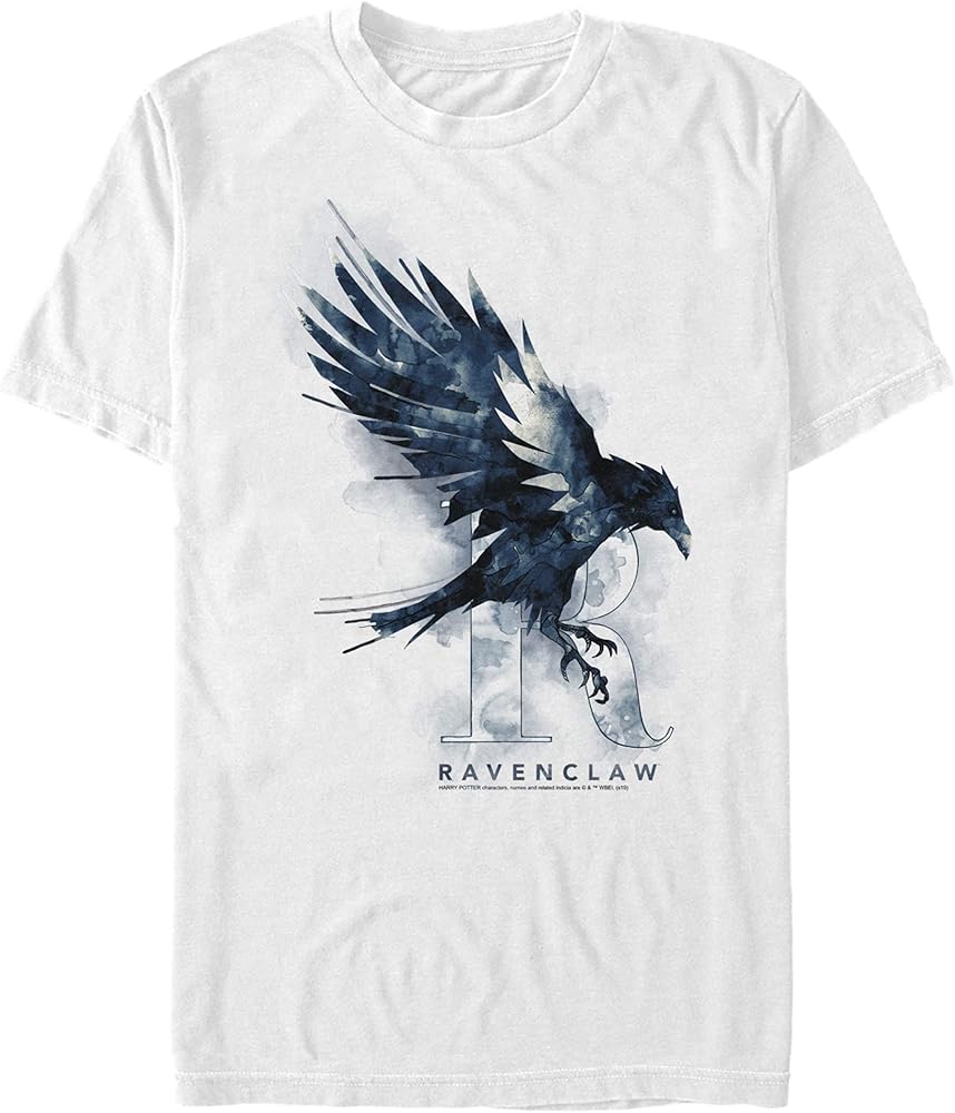 Harry Potter Men's Ravenclaw Mystic Wash T-Shirt, White, 2X-Large