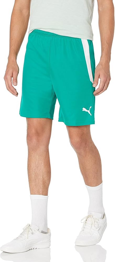 PUMA Men's Teamliga Shorts