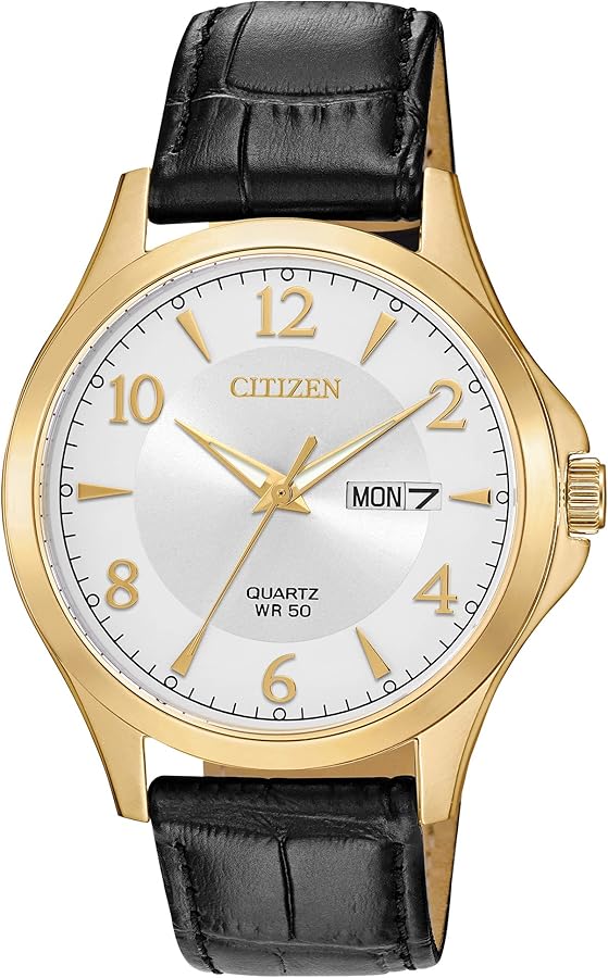 Citizen Quartz Mens Watch, Stainless Steel with Leather strap, Casual, Black (Model: BF2003-25A)