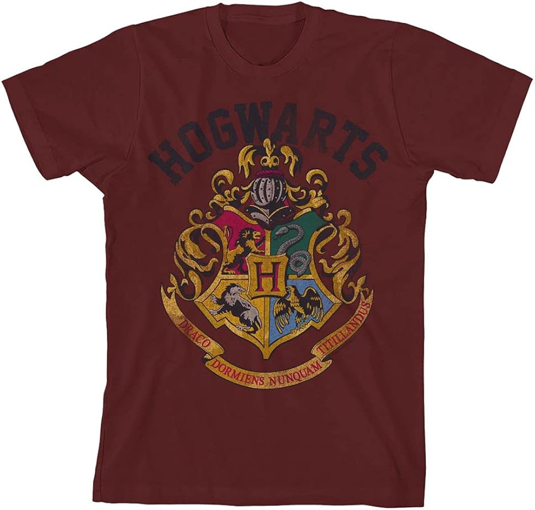 Harry Potter Hogwarts Crest Short-Sleeve Youth Boys' Graphic Tee T-Shirt