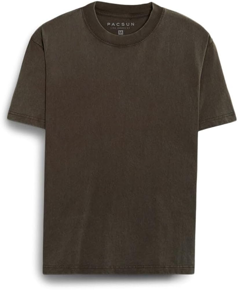 PacSun Men's Premium Solid T-Shirt