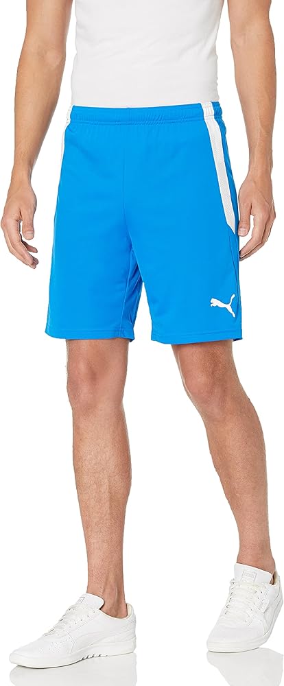 PUMA Men's Teamliga Shorts