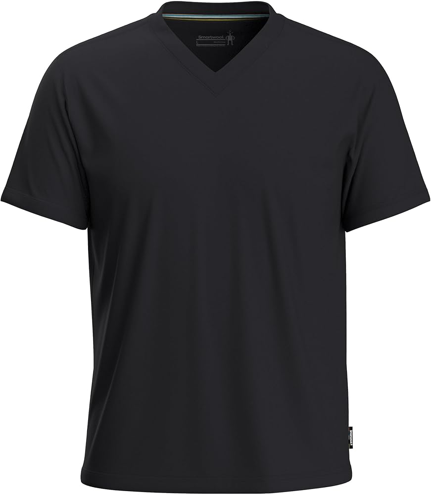 Smartwool Men's Merino Wool Perfect V-Neck Short Sleeve Tee (Standard Fit)