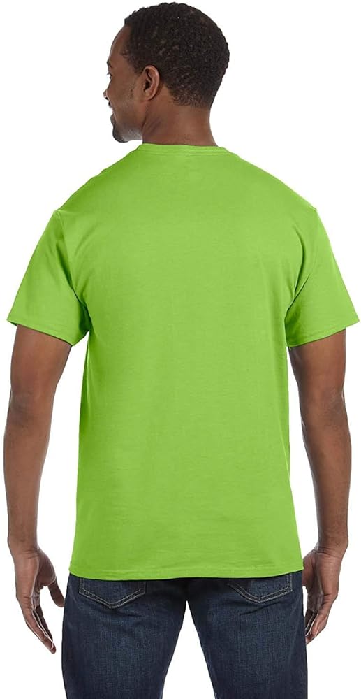 Hanes Tagless t-Shirt (5250T)