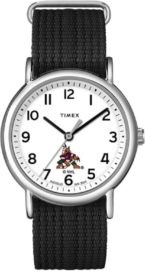 TIMEX Unisex Weekender 38mm Watch with Slip-Thru Single Layer Strap