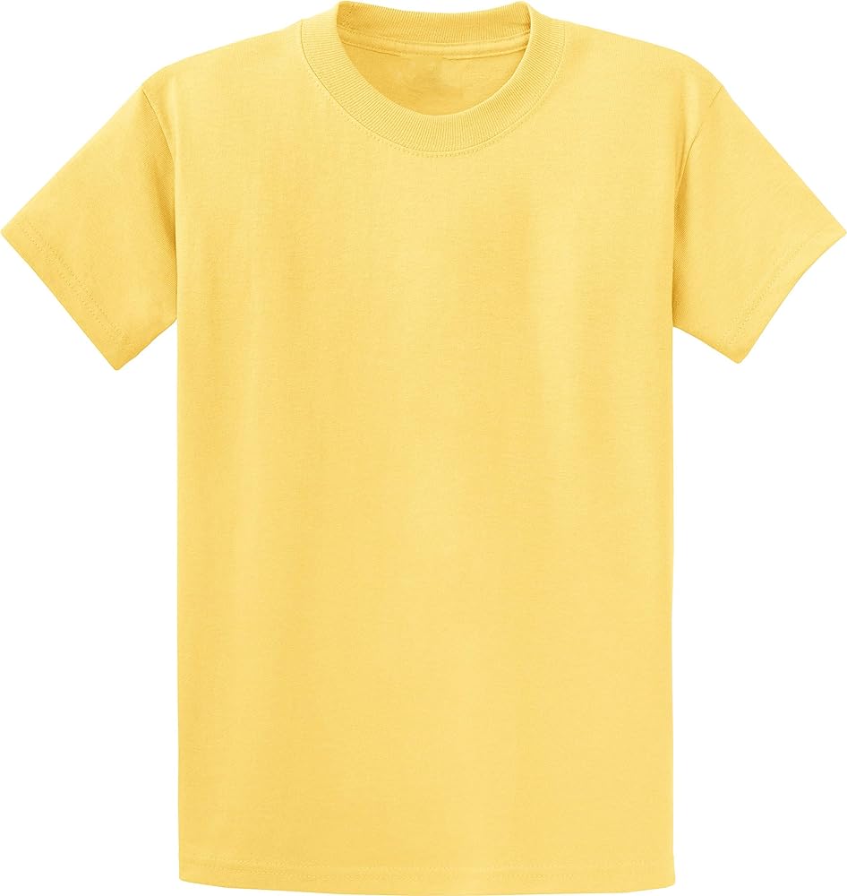 Mens Heavyweight Cotton T-Shirt Plain Tee (Available in Big & Tall)