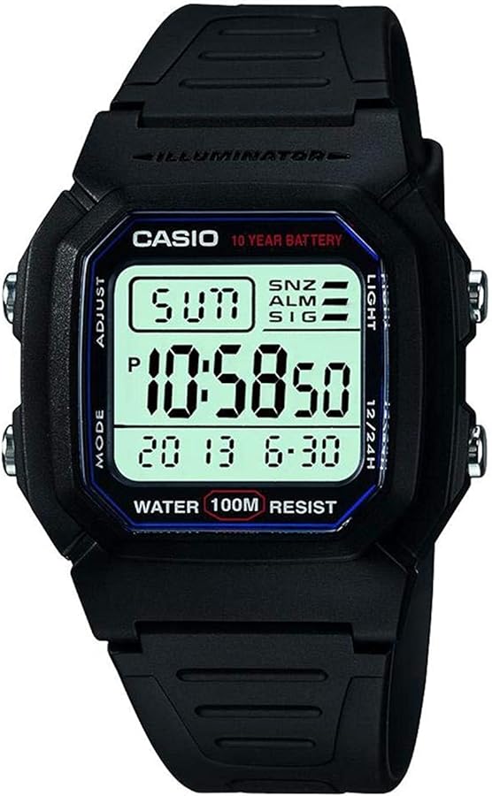 Casio Men's Classic W800H-1AV Sport Watch with Black Resin Band