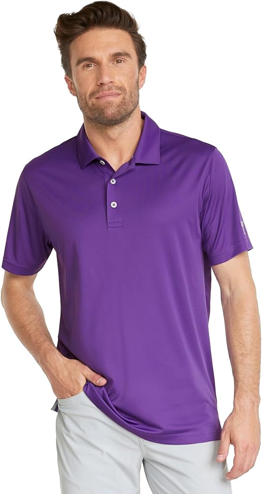 Puma Golf Men's Gamer Polo, Tillandsia Purple, L