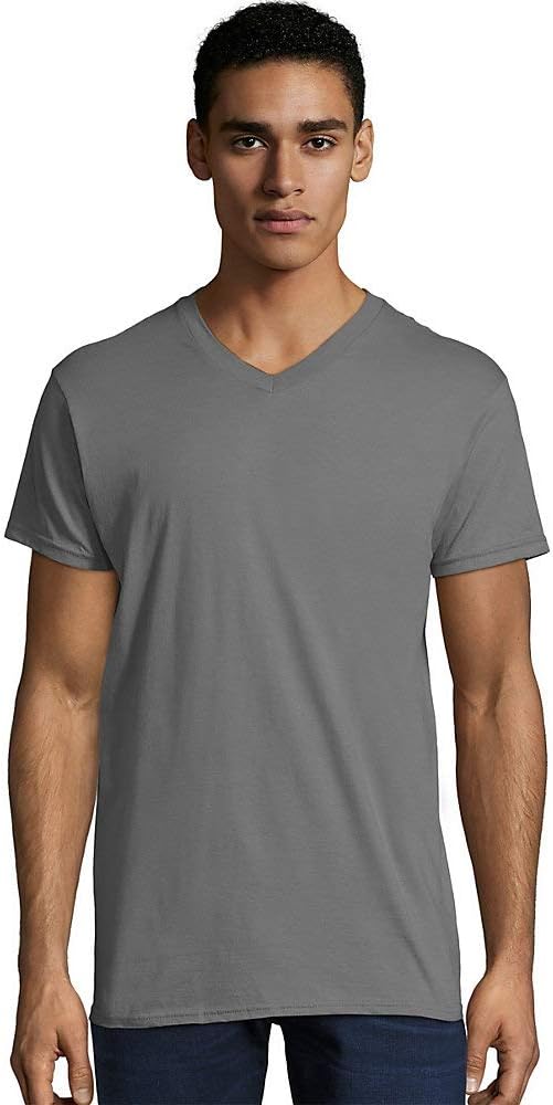 Hanes Men's Nano Premium Cotton V-Neck T-Shirt (Pack of 2)