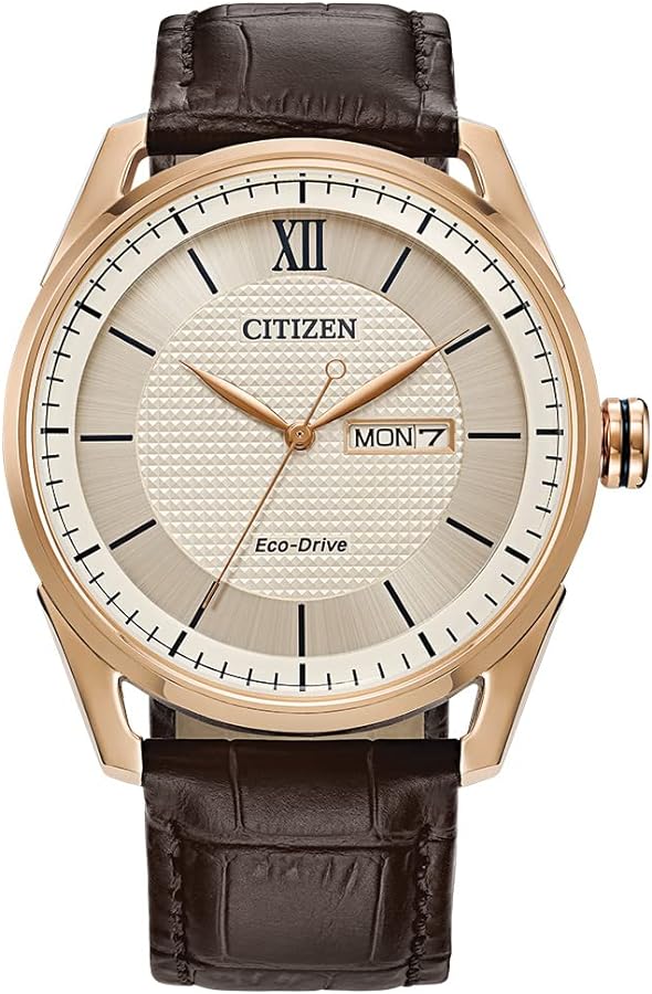 Citizen Men's Classic Eco-Drive Watch with 3-Hand Day and Date